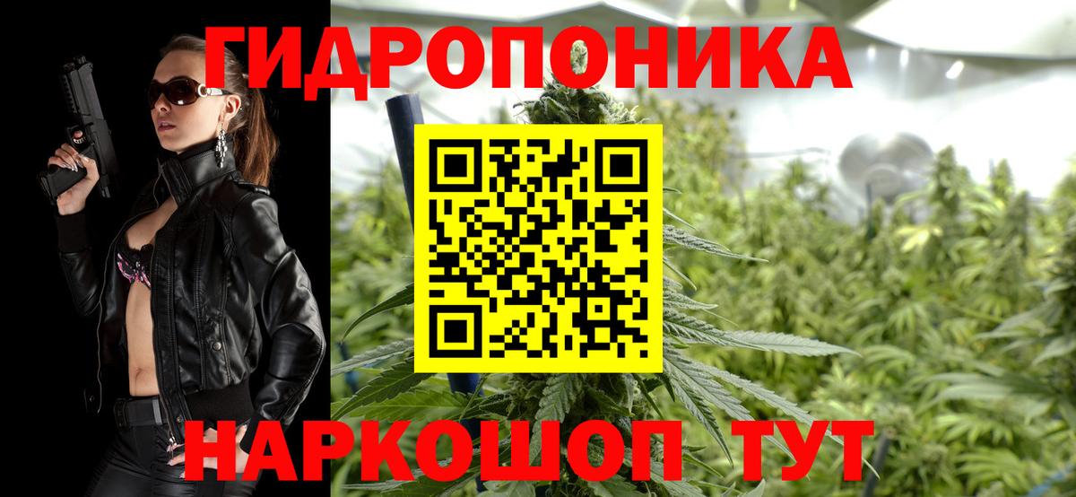 Канабис конопля  Марихуана ГИДРОПОН  Бошки Шишки VHQ  Чехов  Вход с VPN  Конопля марихуана 